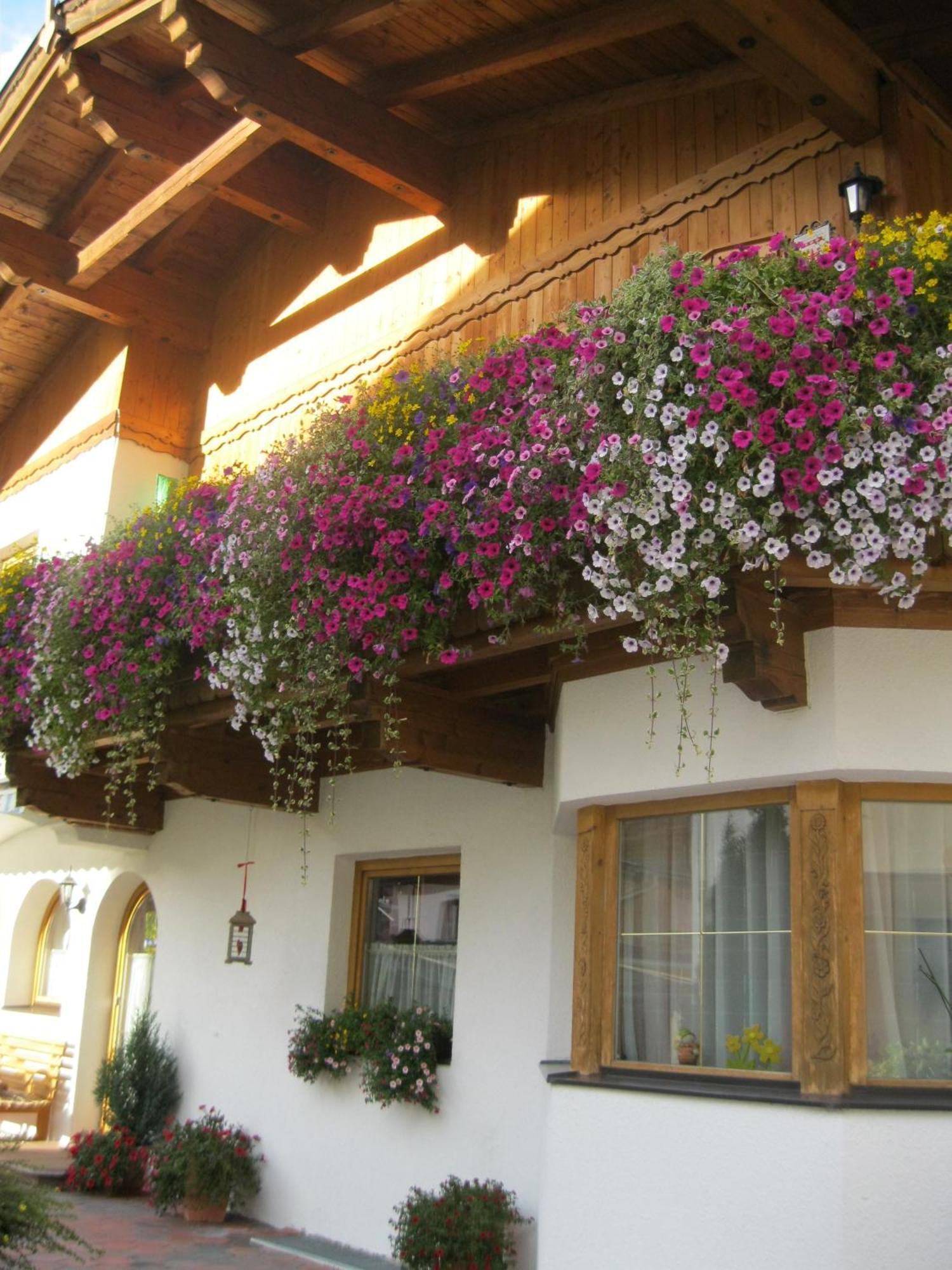Haus Reiterer Apartment Neustift im Stubaital Luaran gambar