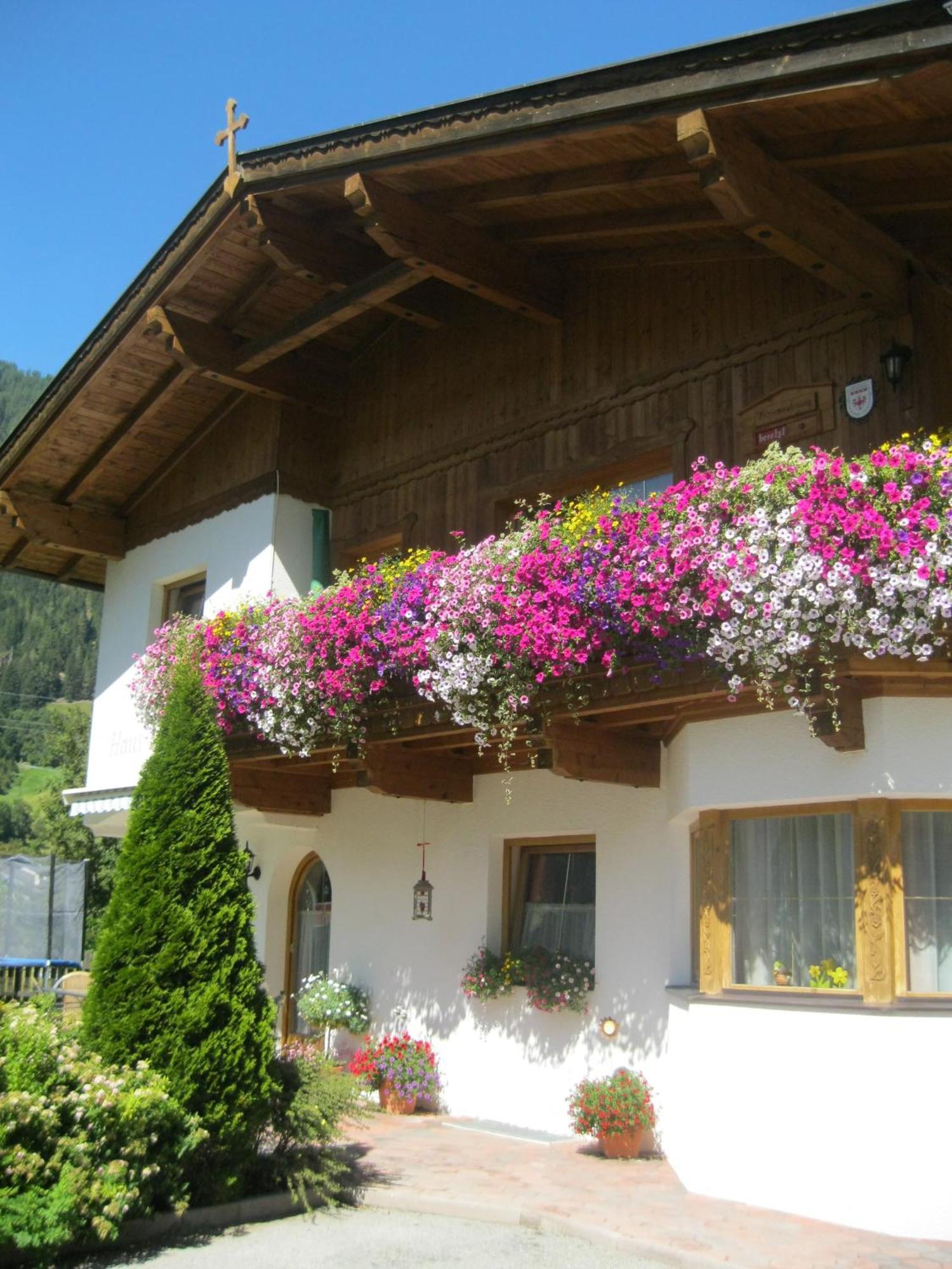 Haus Reiterer Apartment Neustift im Stubaital Luaran gambar